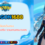 dragon1688
