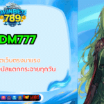 edm777